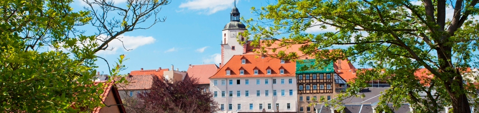 Blick auf Ronneburg.