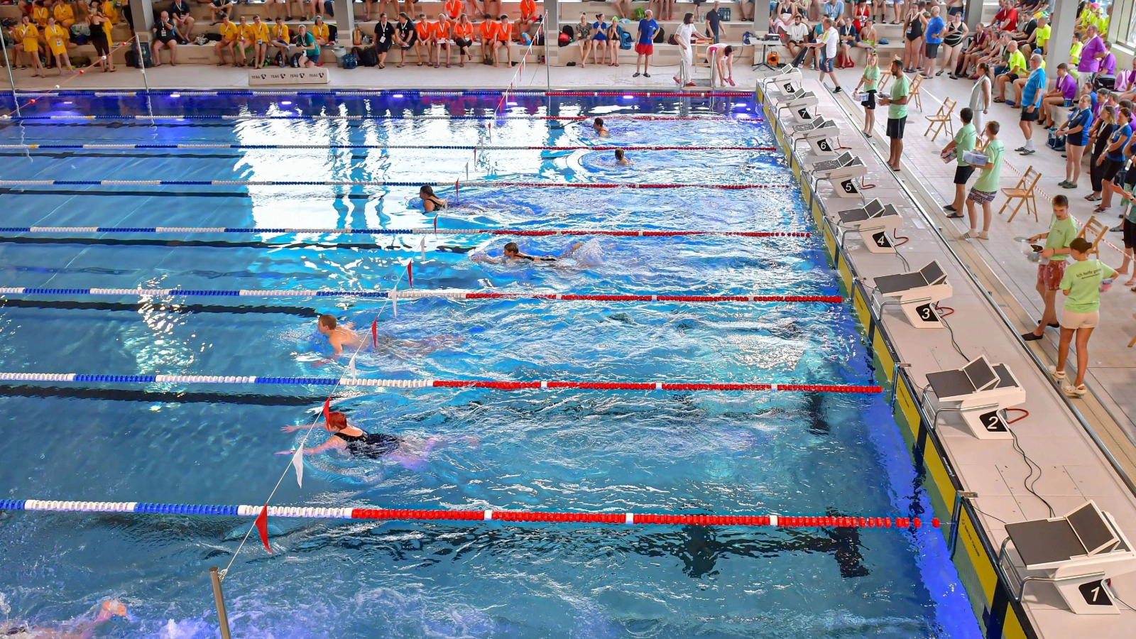 Athletinnen und Athleten beim Wettkampf im Schwimmparadies 