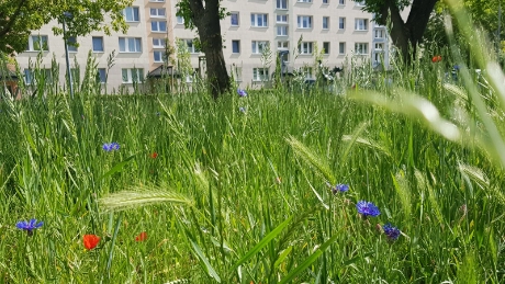 Umfrage zur Nachhaltigkeit der Stadtwerke Jena Gruppe